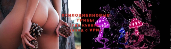 соль курить ск Карпинск
